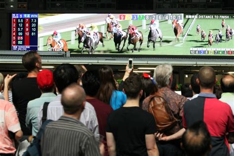Citibet – racing’s billion.
